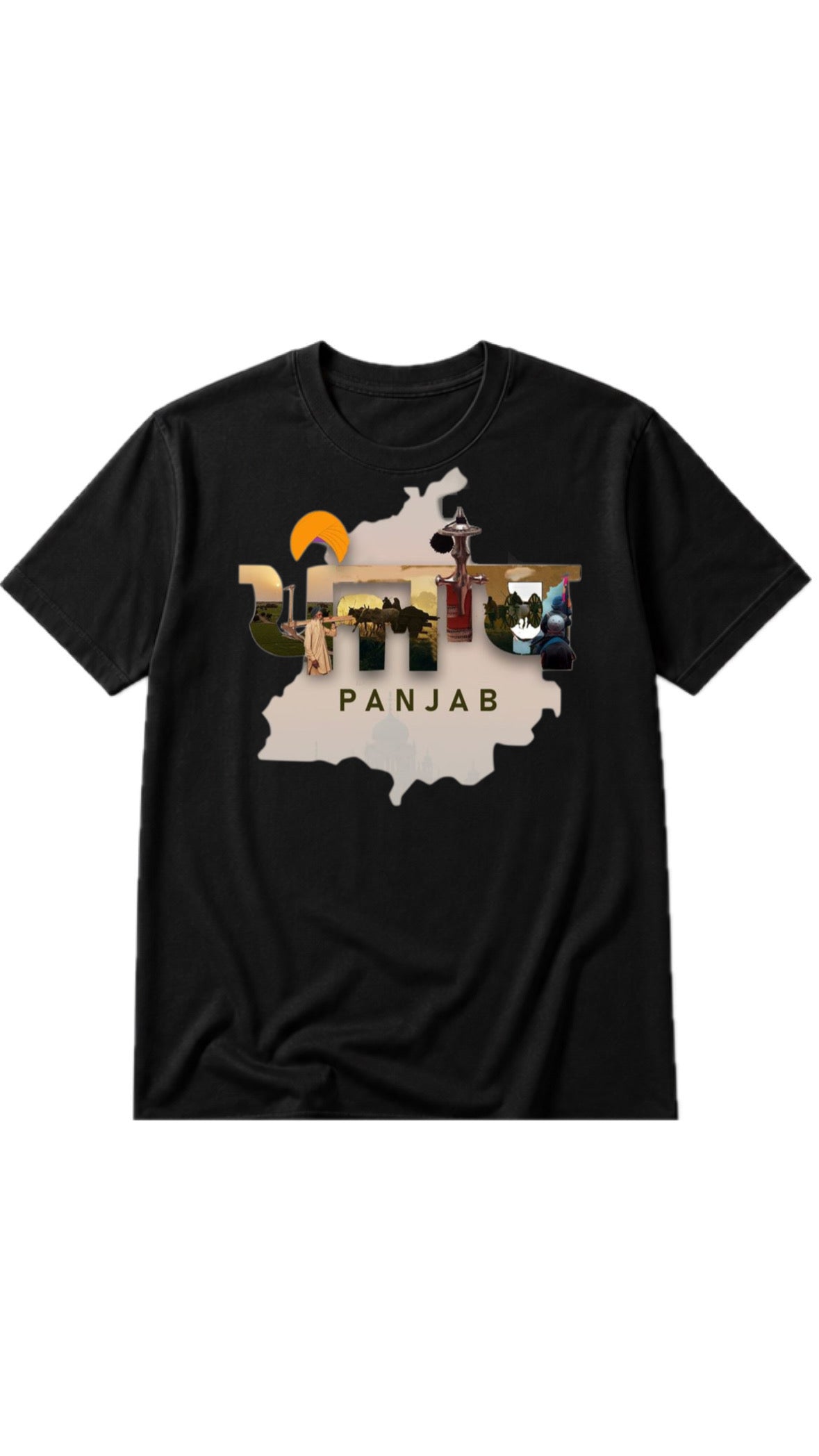 Proud Punjab Flag Tee 🌾