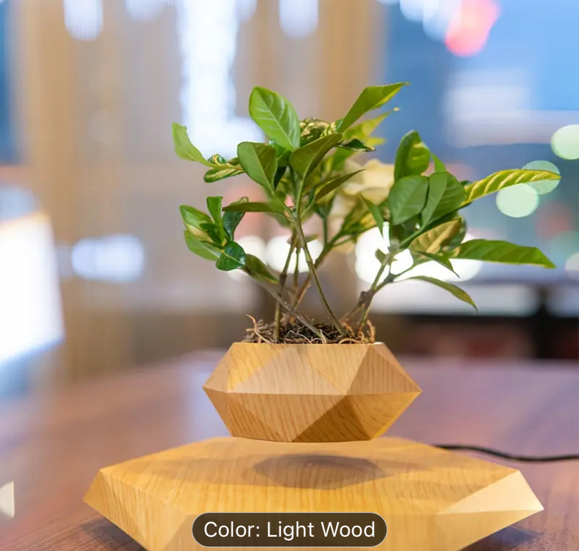 Mini Floating Planter